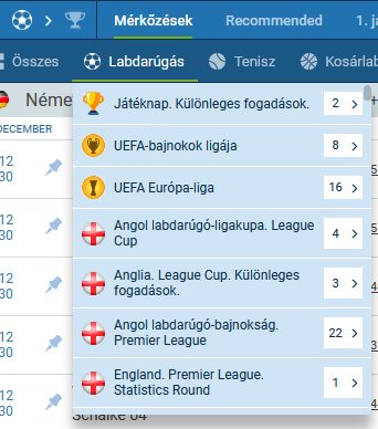 labdarúgó ligák